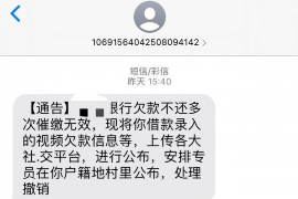 淅川为什么选择专业追讨公司来处理您的债务纠纷？